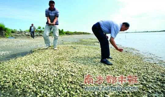 渤海湾溢油 康菲将赔10亿元