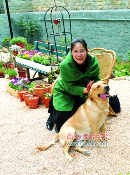 巧搭绿植,烂缸瓦变身艺术盆景