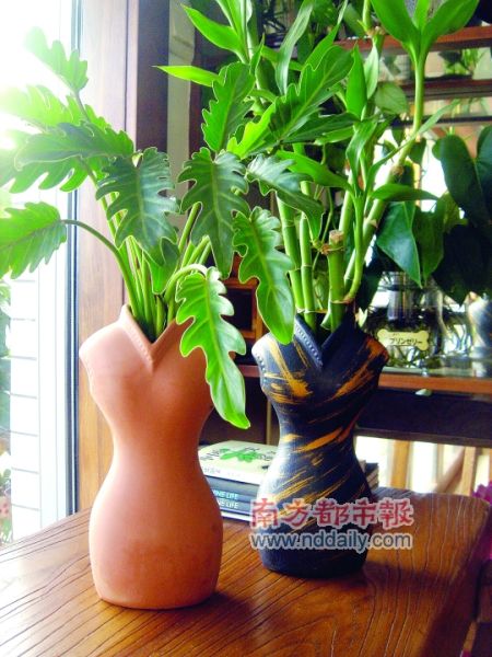 巧搭绿植,烂缸瓦变身艺术盆景