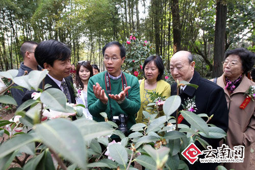 刘幼堂先生的大儿子刘桂生(右二),兴致勃勃地参观茶花. .