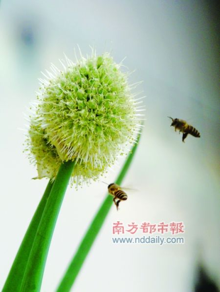 �ݳ澪��������