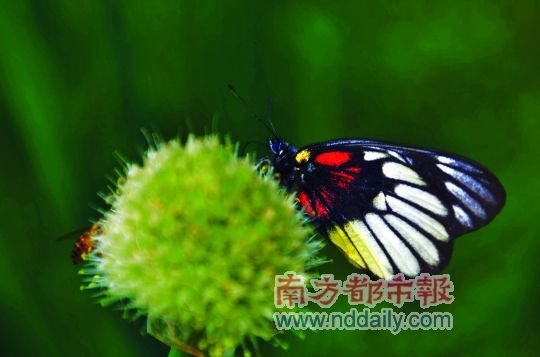 �ݳ澪��������
