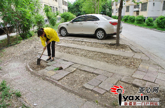 �½������һС��ҵ������¥ǰ��ƺ�Խ�ͣ����