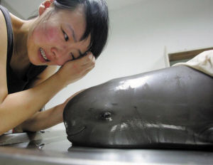 死去