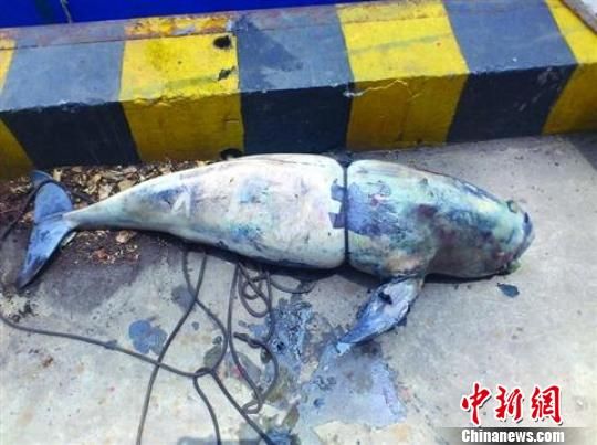 http://www.sina.com.