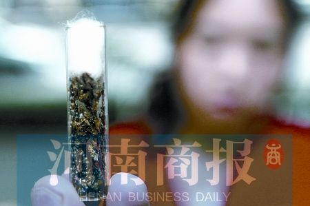 这种能消灭天牛的小虫子就叫"管氏肿腿蜂"