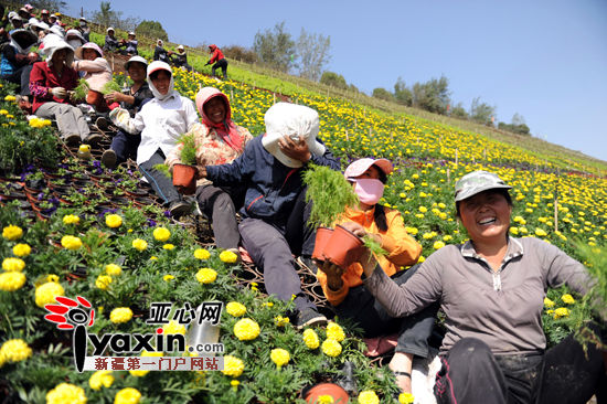 600���軨��Ϊ�ڶ�����ŷ�����������ʡ�