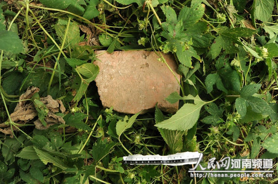 ������������ĳĳϮ��ץ����Աʱʹ�õ�ש��