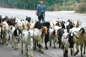 ����۸���������һ��ֻ����һ�