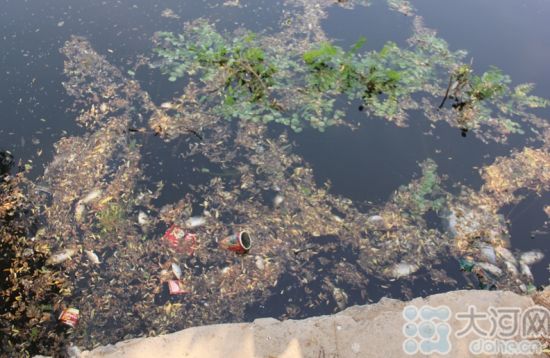 ͼΪ��������