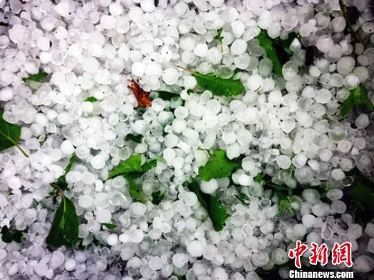 ͼΪ�ѻ��ڵ��ϵı��������𻪡���