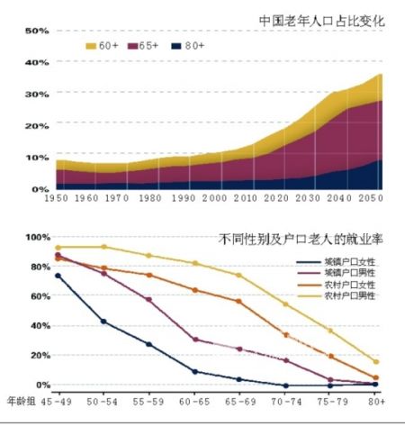 中国老年人口占比变化和老人就业率。