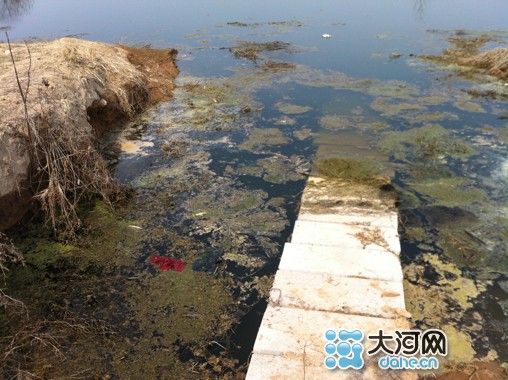 杞县一工厂暗道排放污水 环保局调查至今无果