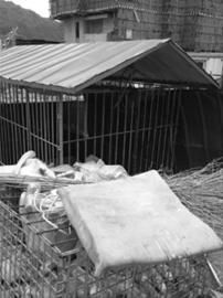 ҧ���˵���Ȯƽʱ���������������������ġ� ���� ��� ��