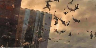 鲨鱼在天上飞…