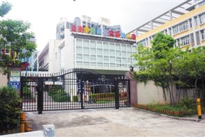 龙岗中专幼儿园负责人 被曝逼走13位教师