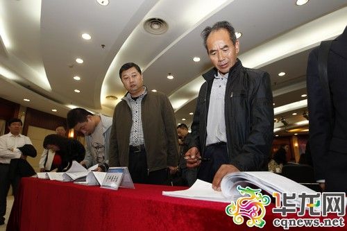 居民收入_重庆市居民收入调查(3)