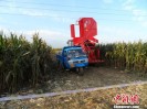 �ӱ������ո���β��ѹ����3�˴�������