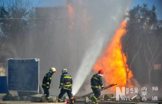 ������Ա���