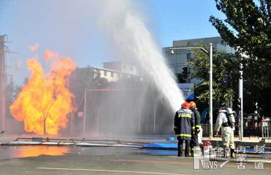 �������Ž�������