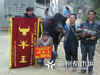 赛前，斗牛要查兴奋剂_新浪新闻