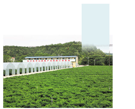 广发资管188金宝博- 金宝博官方网站- 金宝博APP下载现金增利货币型集合资产管理计划管理费适用费率调整及恢复的公告