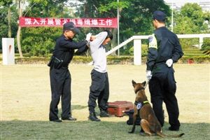 市公安部门昨日成立 警犬缉毒缉爆专业队