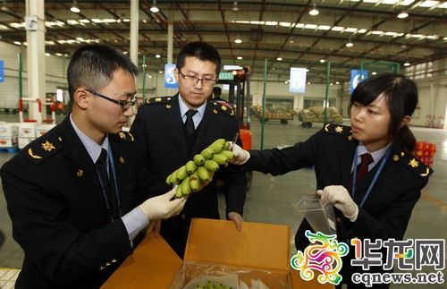 重庆空港进境水果指定口岸开通 进口水果有望