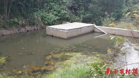 　　良田村自来水工程水源点之一。池子里有不少水生物，现场并未发现消毒过滤设施。
