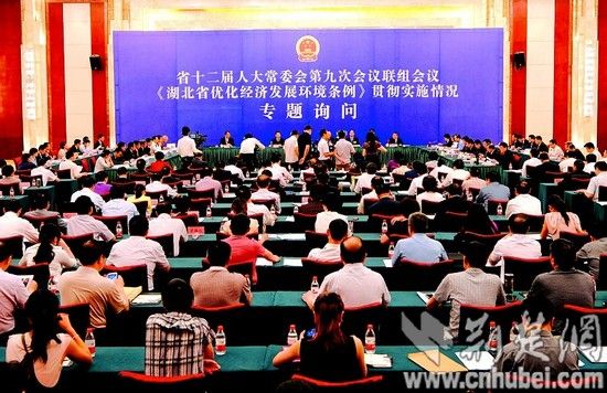 湖北省人大常委会就优化经济发展环境举行专题