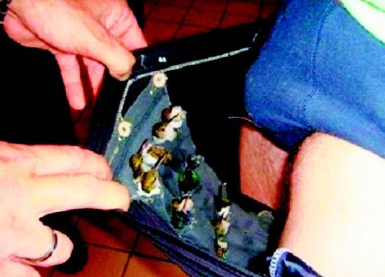 <em>男子裤裆</em>藏小鸟海关识破被逮捕_新浪新闻