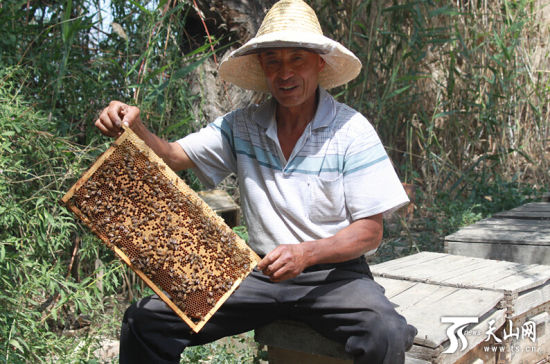 乌苏:土蜂蜜洋出口 魏茂生32年漫漫养蜂路