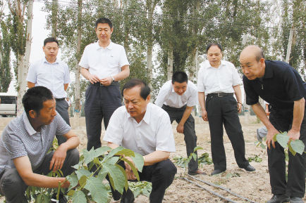 国内新闻 > 正文  天山网讯(记者沈元赓摄影报道)6月18日,兵团党委副