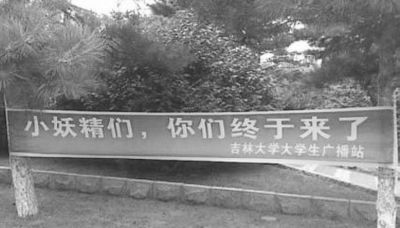 小妖精们 你们终于来了