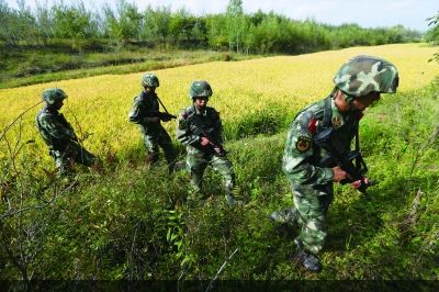 今天上午，武警战士们在山林中继续搜寻高玉伦的踪迹 摄/法制晚报记者杨益
