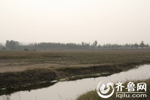 济南新阳煤矿回应80%村民住“危房“：已赔偿千万