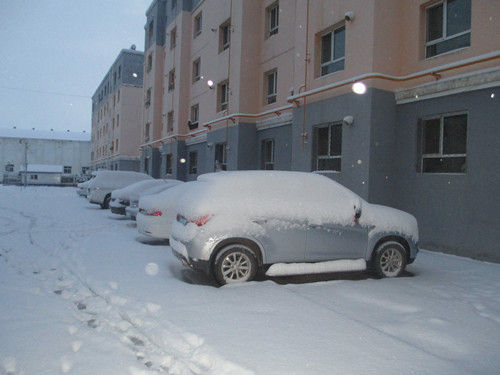 新疆伊犁地区新源县迎来冬季第一场大雪