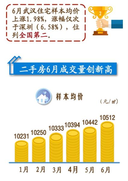 迪拜人均月收入_武汉市人均月收入