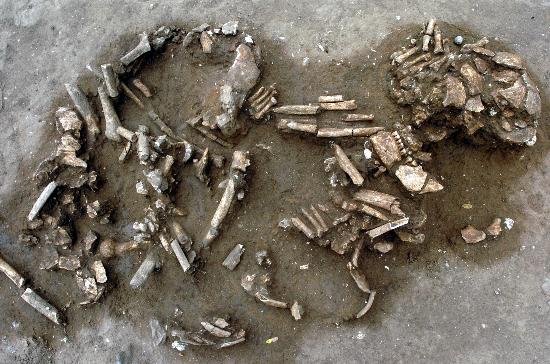 图文:广西何村遗址考古发掘获重大发现(2)