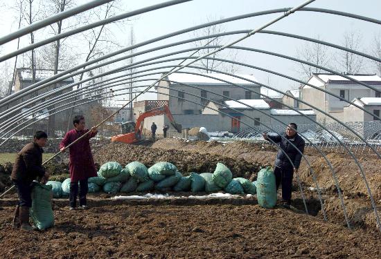 图文:安徽舒城农民在田间劳动