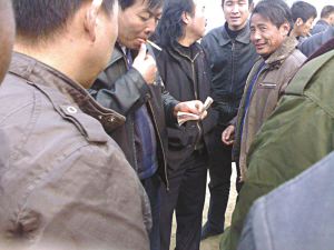 陕西渭南公开赛狗赌博(组图)