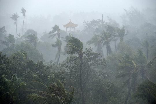 狂风暴雨图片