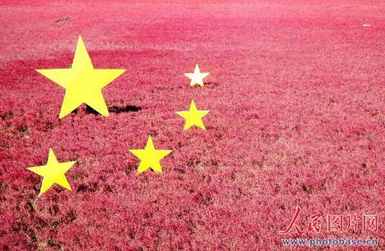 组图:辽宁9万亩红海滩打造巨幅五星红旗