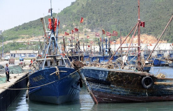 5月31日,渔船在大连旅顺口区柏岚子渔港靠港.