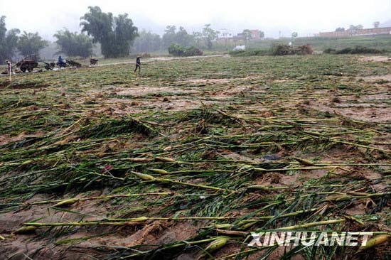 组图:广西罗城县道路农田被洪水冲毁