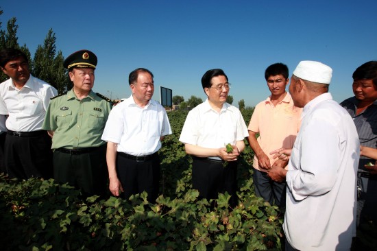 胡锦涛在新疆考察工作要求加大对少数民族扶持