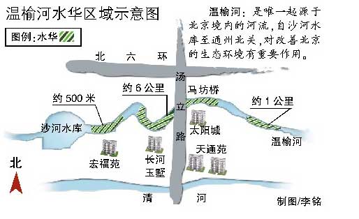 北京温榆河昌平段被绿藻污染绵延8公里(图)