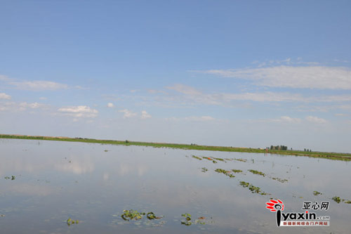 新疆玛纳斯河沿岸3.4万余亩土地遭洪灾(组图)(2)
