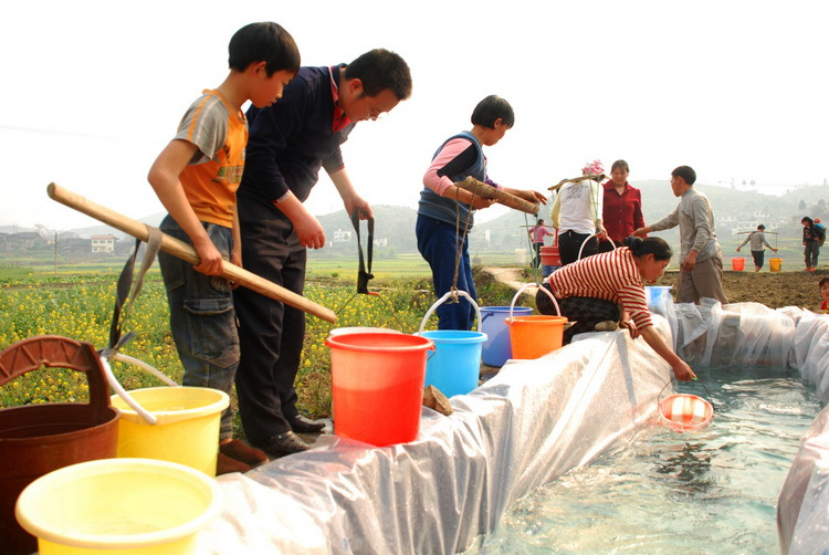 图文：村民在临时蓄水池中打水挑回家