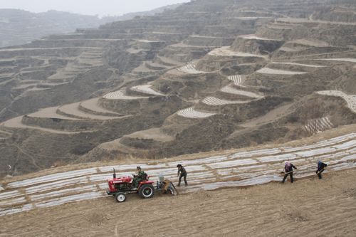 2月25日，甘肃临夏永靖县杨塔乡砂宗村农民在田间覆膜抗旱保墒。 